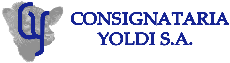 Consignataria Yoldi S.A.